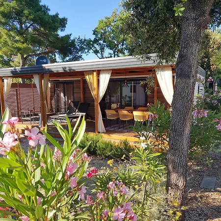 Mobile Limona Biograd Na Moru